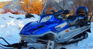 arctic cat bearcat 660